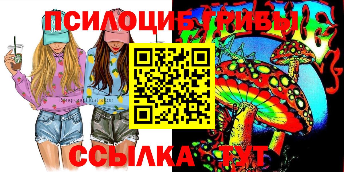 Псилоцибиновые грибы Cubensis  Вход с VPN  Краснодар  закладки  Псилоцибиновые грибы мицелий 